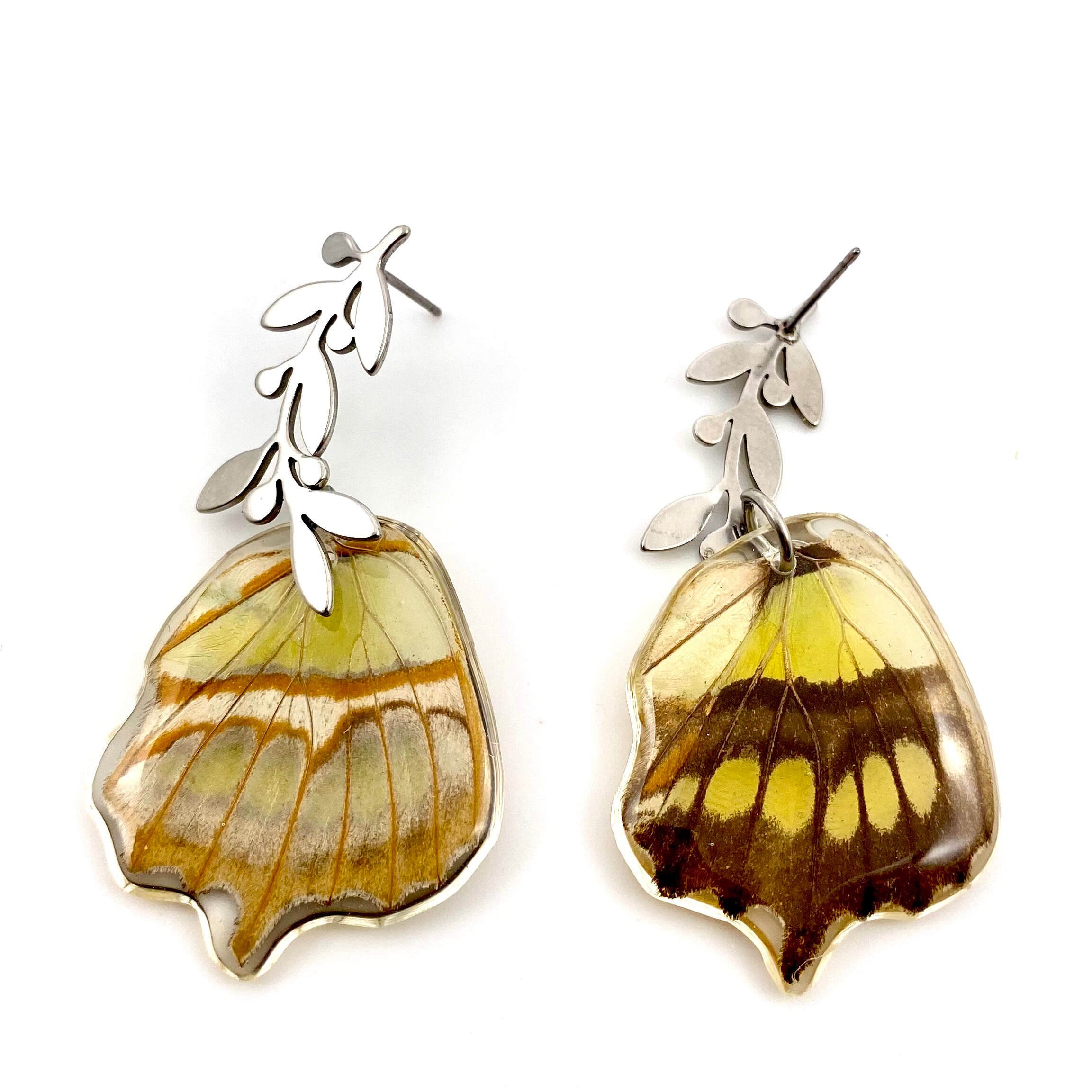 Real butterfly store wing earrings